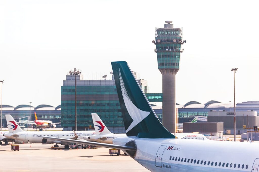 Top Airlines That Allow Pet Travel From Kenya